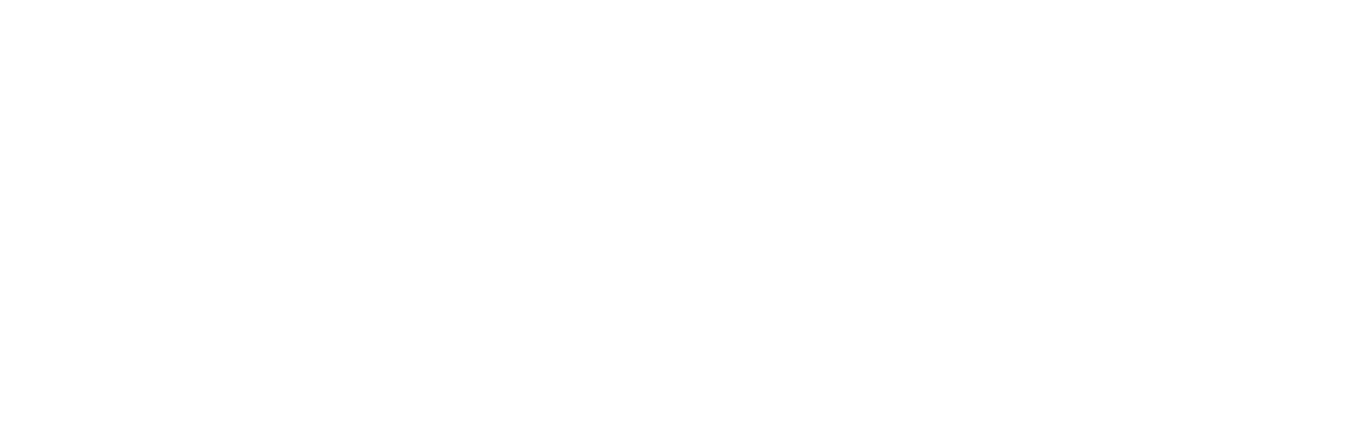 The Wozniak Group Logo